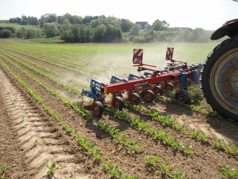 Fodder Beet Cultivator - Image 2