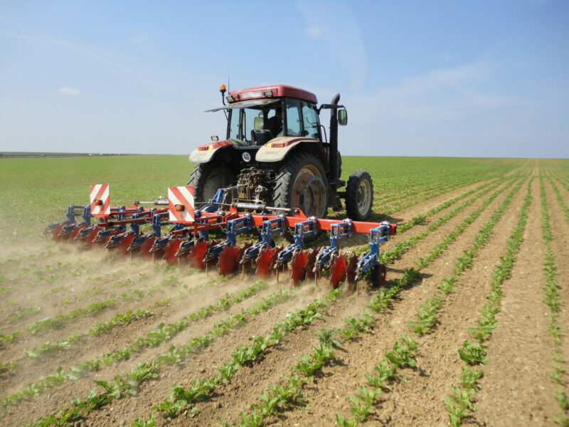 Fodder Beet Cultivator