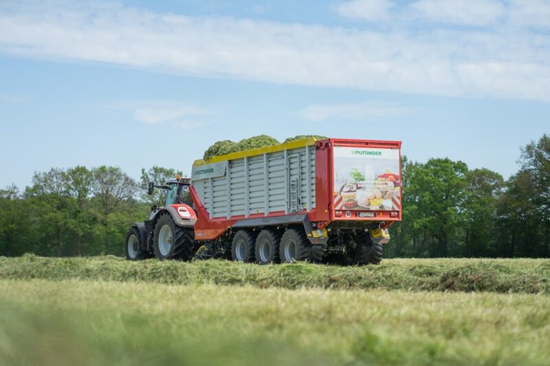 Jumbo - Image 7