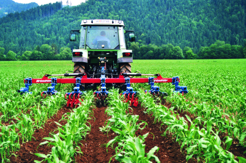 Rollstar Cultivator