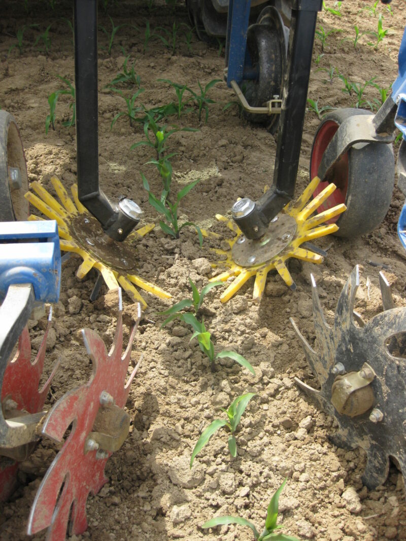 Rollstar Cultivator - Image 2